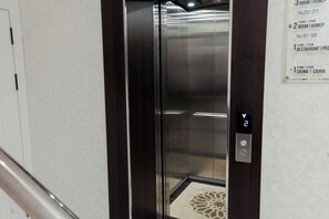 Elevator - Polar Bear (Samarkand)