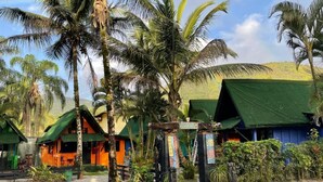 A row of small, colorful cabins with green roofs, surrounded by palm trees and a gravel path. - Alemão Cabanas (São Sebastião)