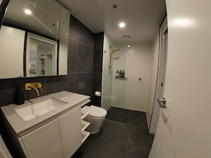 Shower, hair dryer, towels, soap