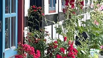 Detalle del exterior