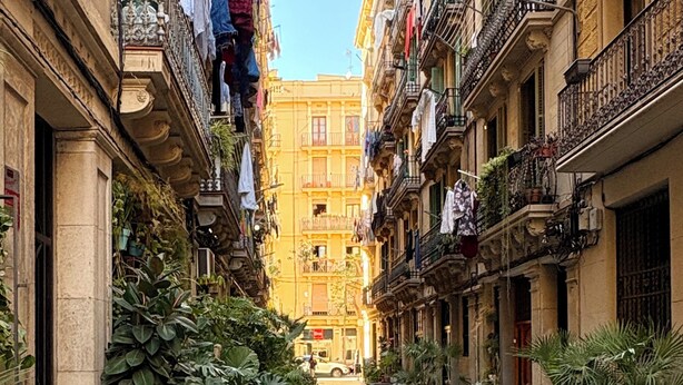 A narrow street with potted plants lining the sides, a bench in the foreground, and buildings with balconies and hanging laundry.