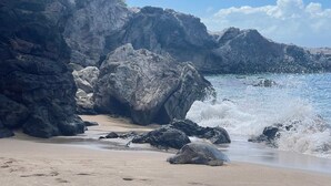 Ein felsiger Strand mit brechenden Wellen an großen Felsen und einem klaren Himmel.