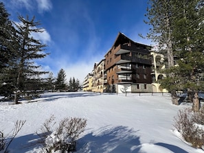 Un immeuble à plusieurs étages doté de balcons, entouré d’un paysage enneigé et d’arbres.