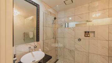 Shower, hair dryer, towels