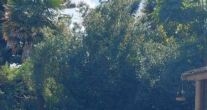 New "Little White Cabin" 2 single beds, Nice ensuite & shower. Pool & cabana.