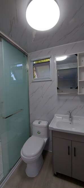 Shower, hair dryer, towels, soap