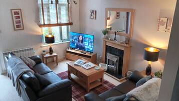 Smart TV, books