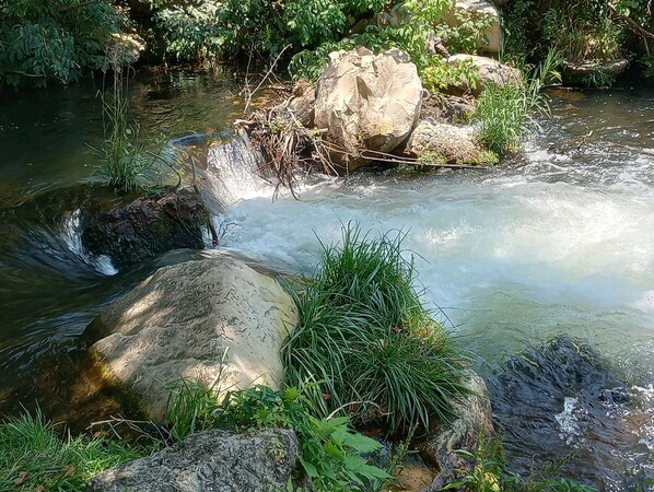 A natural stream with clear water flowing over rocks, surrounded by lush greenery. - Hephzibah in "The Land" (Calico Rock)