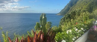 Luxurious estate in the Azores: 6 bedrooms, pool, sauna, ice bath, zen yoga