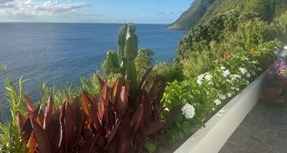 Luxurious estate in the Azores: 6 bedrooms, pool, sauna, ice bath, zen yoga