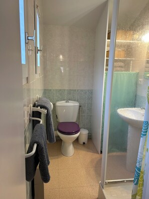 Douche, séchoir à cheveux, serviettes fournies, savon