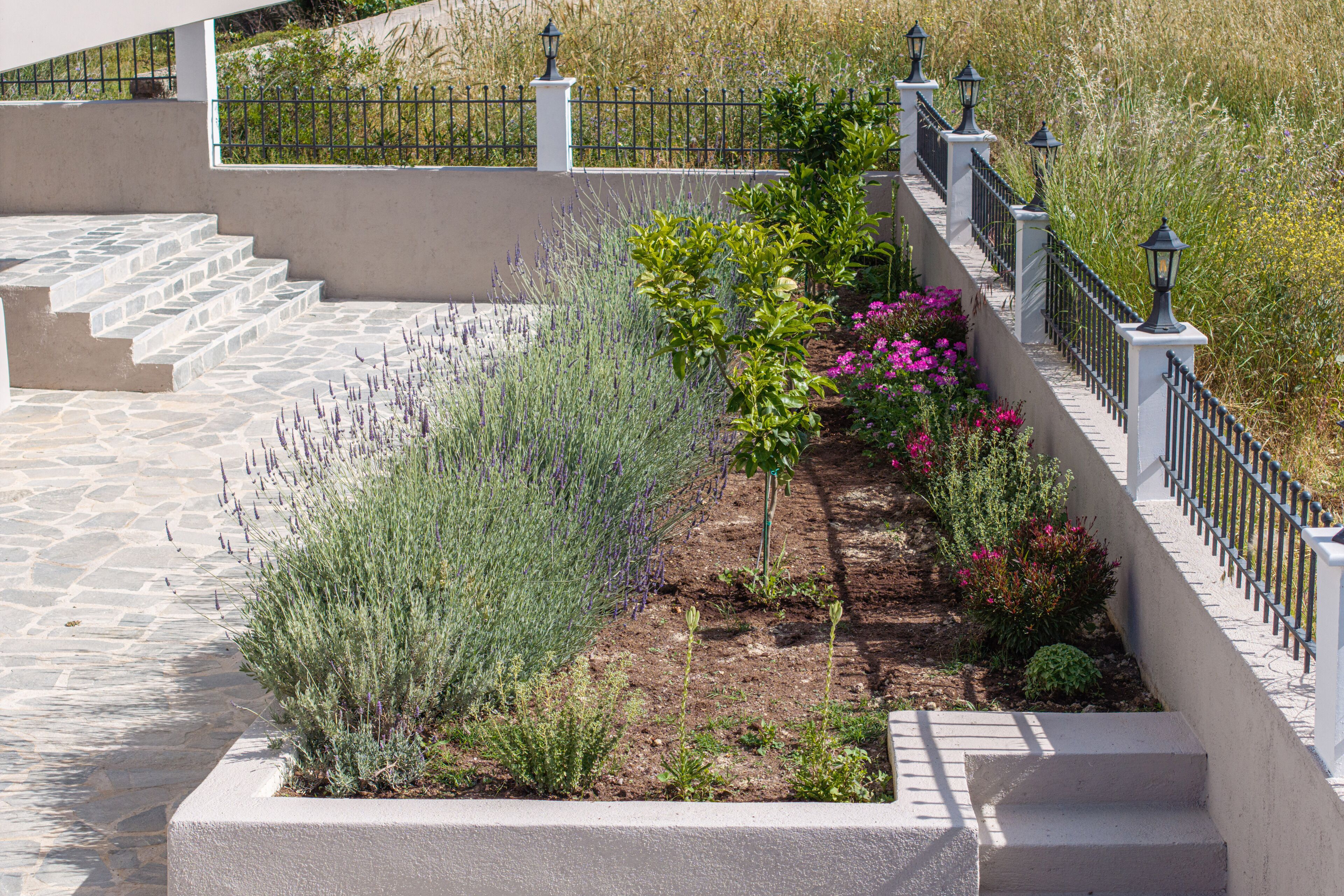 Un jardín ajardinado con escalones que conducen a un muro blanco, delimitado por una valla de metal negro con faroles.