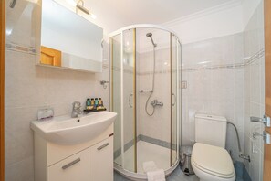 Hair dryer, towels, soap, toilet paper
