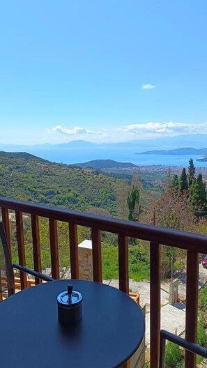 Habitació amb dos llits individuals bàsica | Vista des de l'habitació