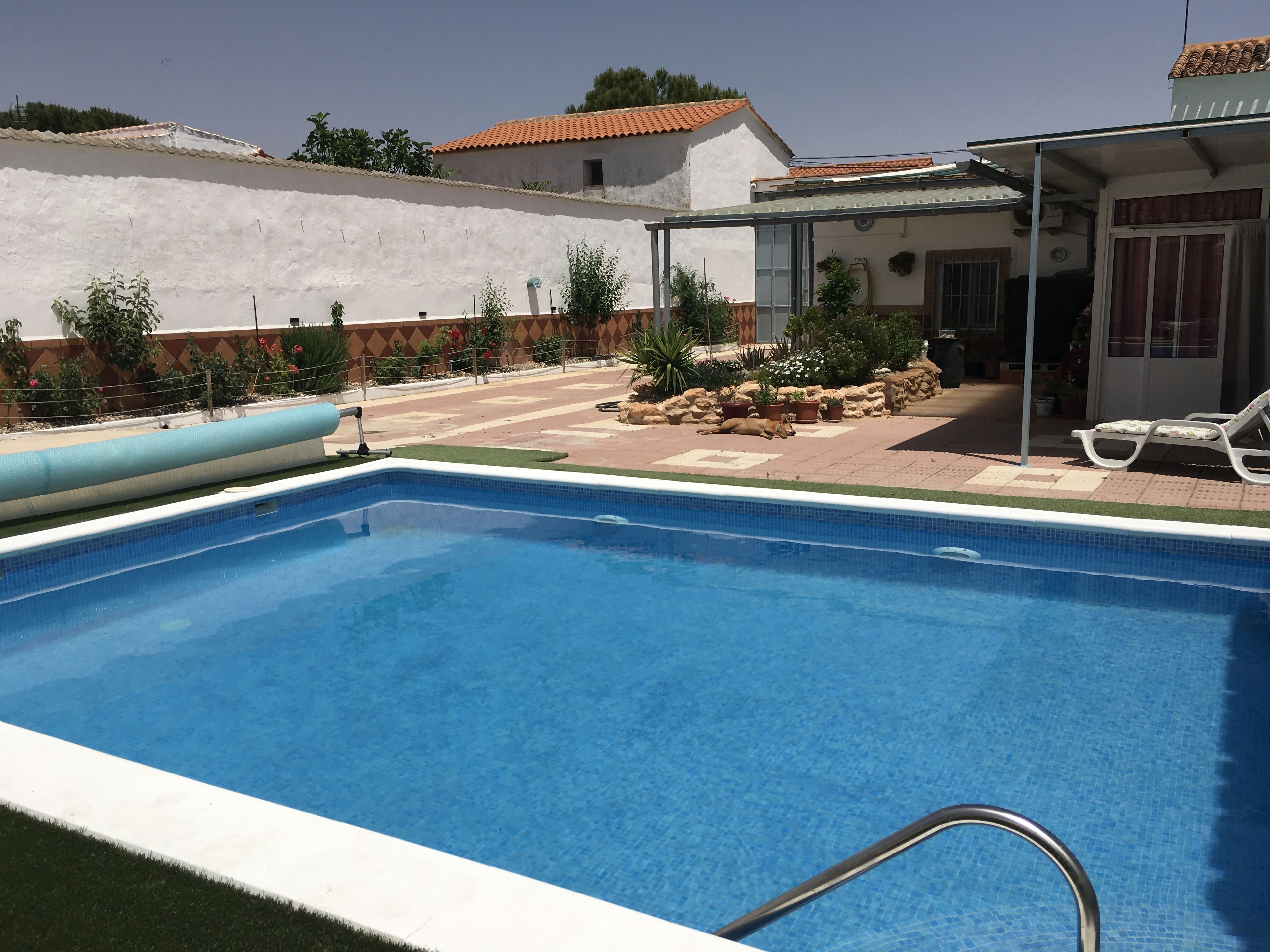 Una piscina con superficie de agua azul cristalina, rodeada por un patio empedrado con plantas en macetas y una pared blanca.