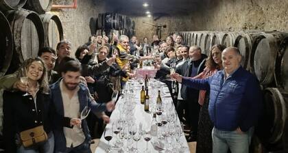 At the heart of Don QuiXote and La Mancha wine route. Pet and family friendly.