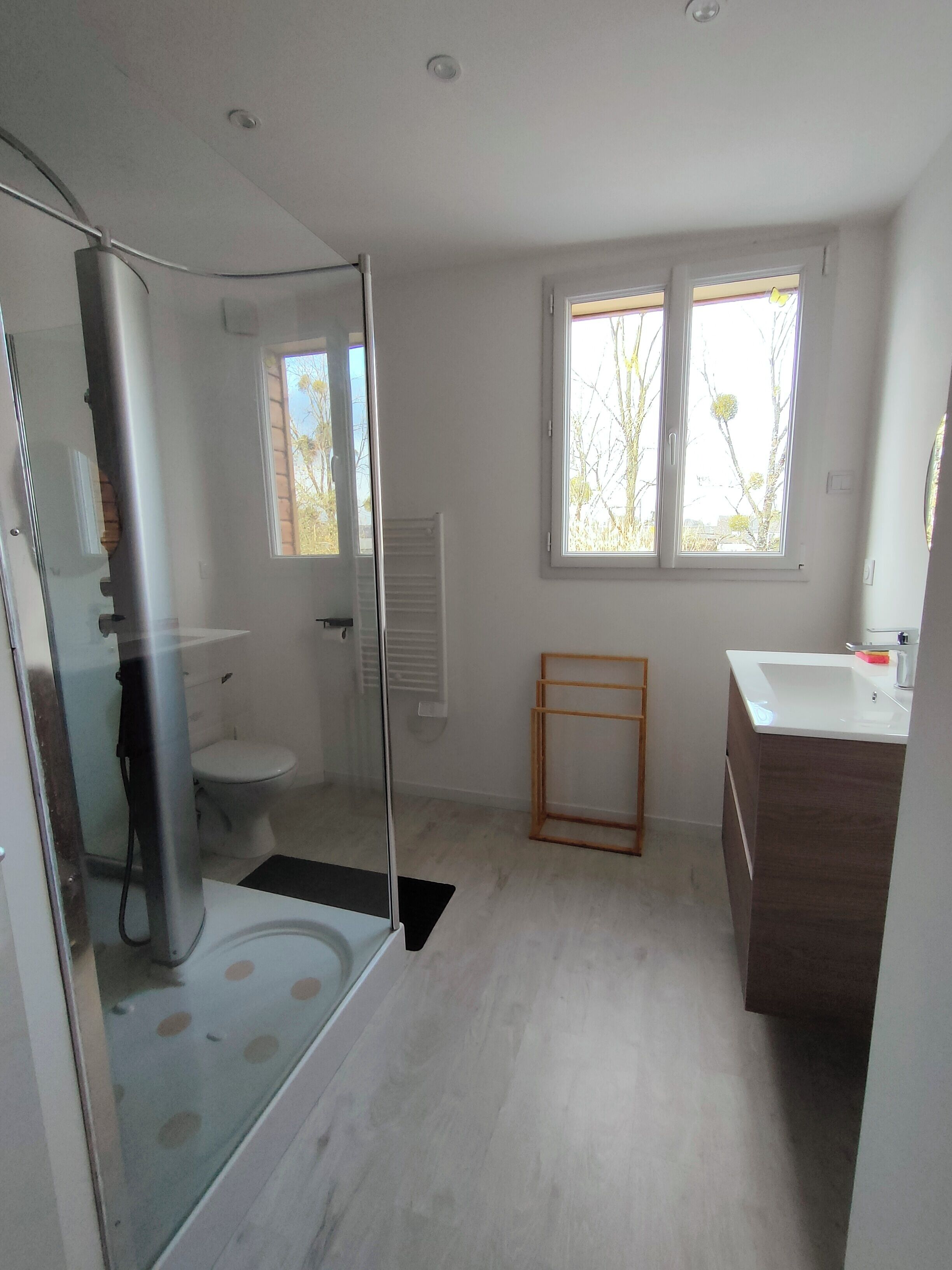 Shower, hair dryer