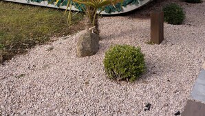 A modern building with a curved wooden facade, large windows, and a small garden area with a palm plant. - Cocci-vert à L'oasis des Coccinelles (Sainte-Croix-aux-Mines)