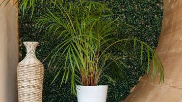 Une étagère avec un vase en osier et une plante en pot, le tout placé devant un mur vert.