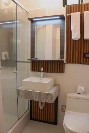Shower, soap, shampoo, toilet paper