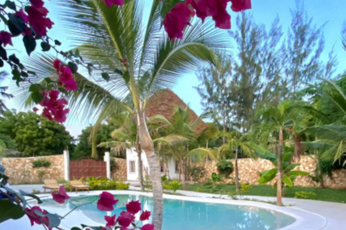 A swimming pool with a curved edge, surrounded by palm trees and bougainvillea flowers.