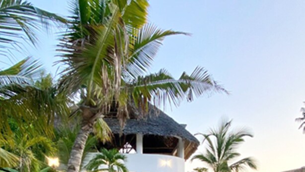 Un resort moderno con piscina, palmeras y una estructura de techo de paja.