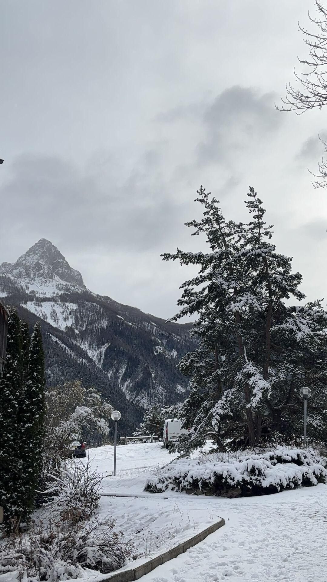 A snowy mountain landscape with a clear sky, a snow-covered tree, and a road leading towards the mountains.