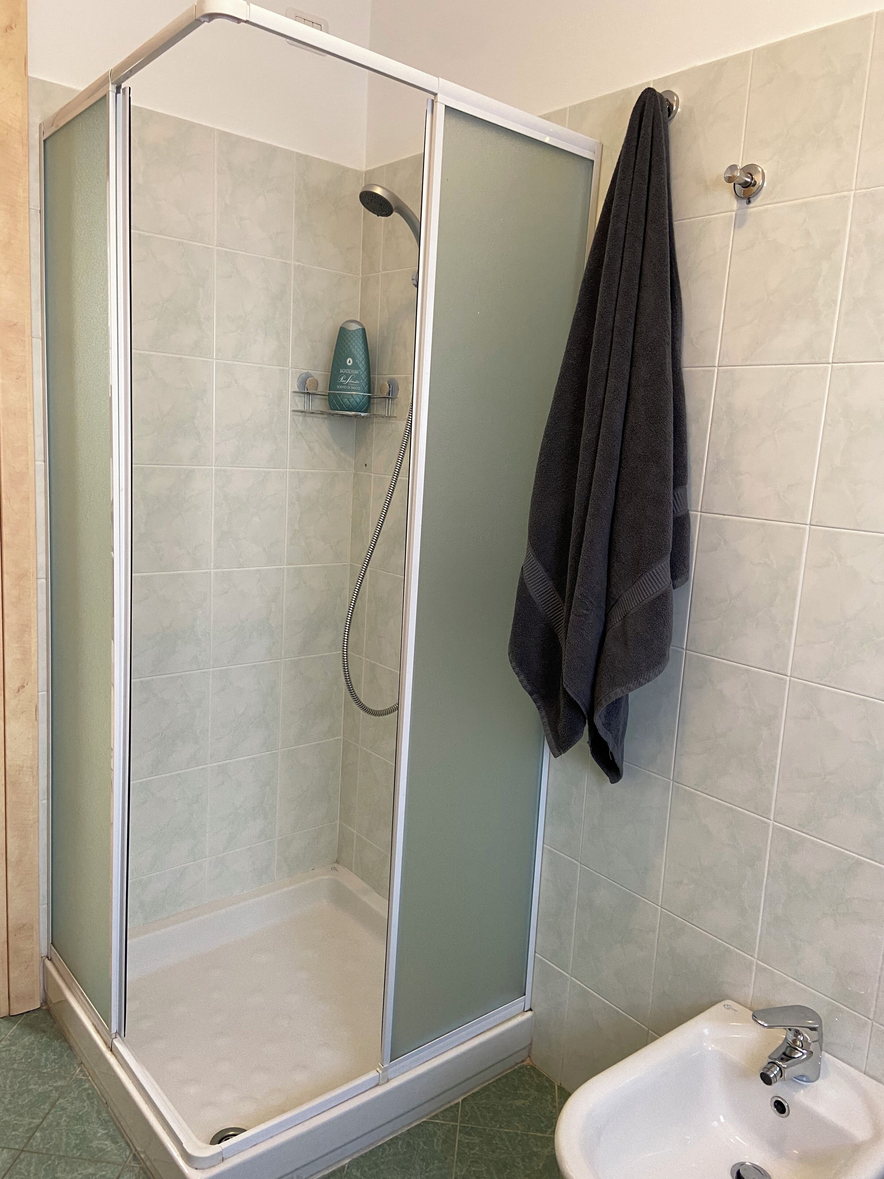Dusche, Haartrockner, Bidet, Handtücher