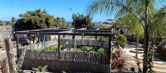 Baja Oceanview 2 br Bungalow with Garden and Patio Paradise for Dogs