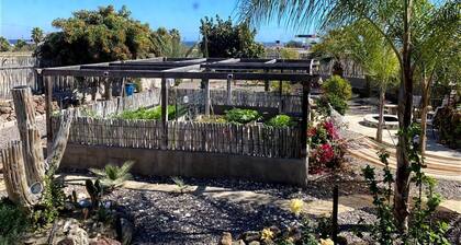 Baja Oceanview 2 br Bungalow with Garden and Patio Paradise for Dogs