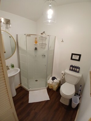 Shower, towels, soap, toilet paper - Tiny home near Brady Mt./ Lake Ouachita (Royal)