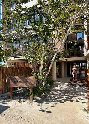 Property grounds - Chic Loft Steps from the Jungle View (Holbox)