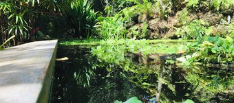 Swarnapaya résidence