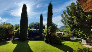 Un jardín bien cuidado con árboles altos y esbeltos, césped impecable y diversas arbustos y plantas.