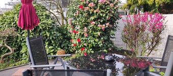 Modern house 90sqm 2-room. S-W-Terr. Near Düsseldorf