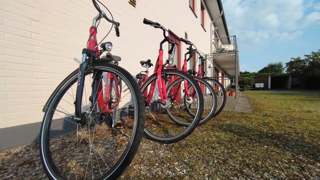 Bicicletas estacionadas frente a un edificio de fachada blanca y un área verde.