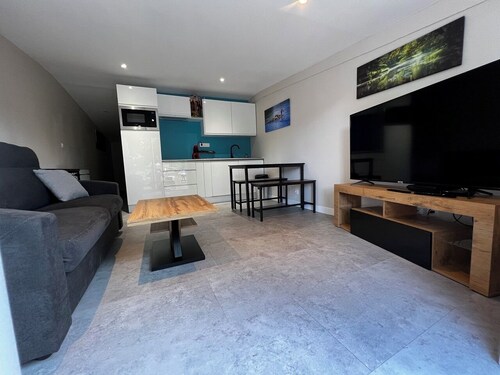 Les cygnes, maison au bord du loing jusqu'à 6 personnes, avec  canoés et barque.