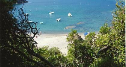 CORSICA, Gulf of Porto, house with terrace and garden, magnificent sea view