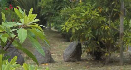 Faial Cottage, Azores - Cozy Local Stay with Private Patio