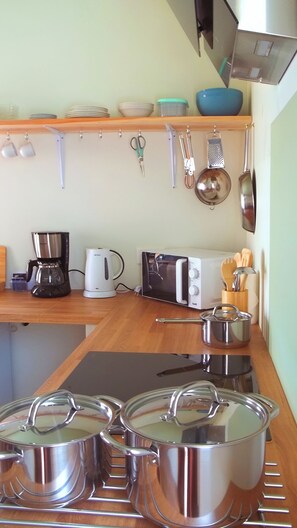 Fridge, microwave, stovetop, coffee/tea maker