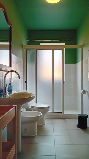 Shower, hair dryer, bidet, towels