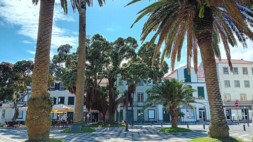 Faial Cottage, Azores - Cozy Local Stay with Private Patio