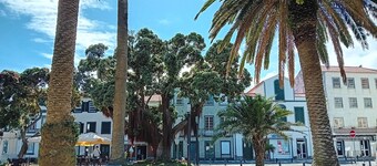 Faial Cottage, Azores - Cozy Local Stay with Private Patio