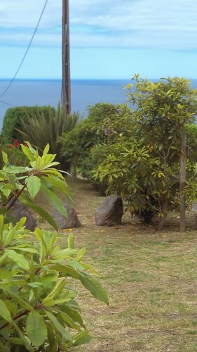 Faial Cottage, Azores - Cozy Local Stay with Private Patio