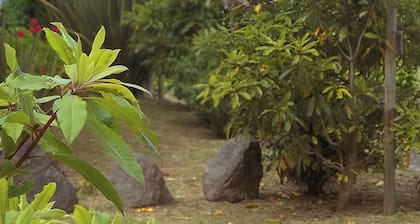 Faial Cottage, Azores - Cozy Local Stay with Private Patio