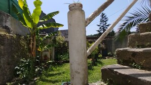 Un jardín con una escalera de hormigón, una planta de plátano y un muro de piedra.