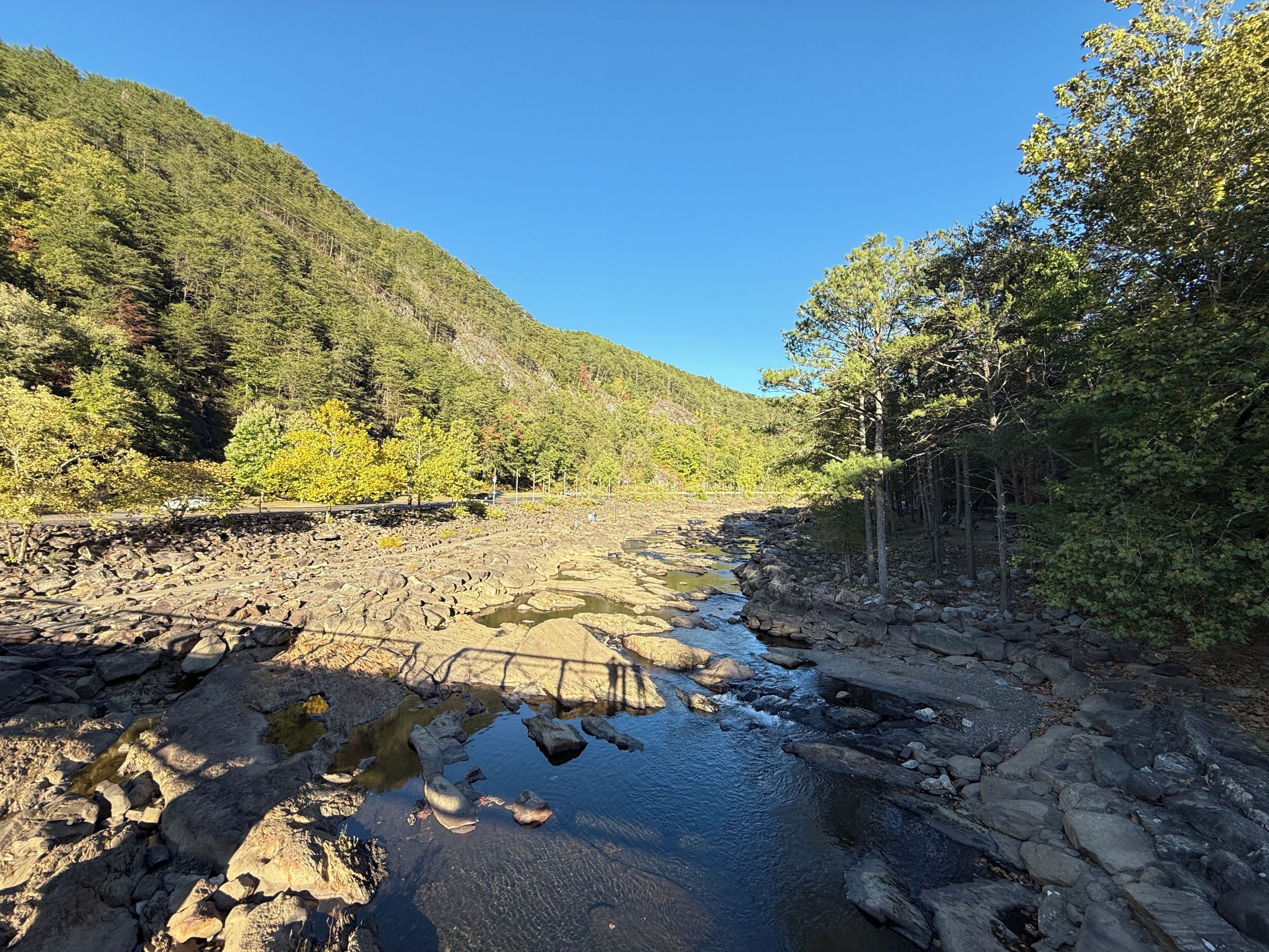 Un lecho fluvial rocoso con agua cristalina, rodeado de un bosque denso y colinas.