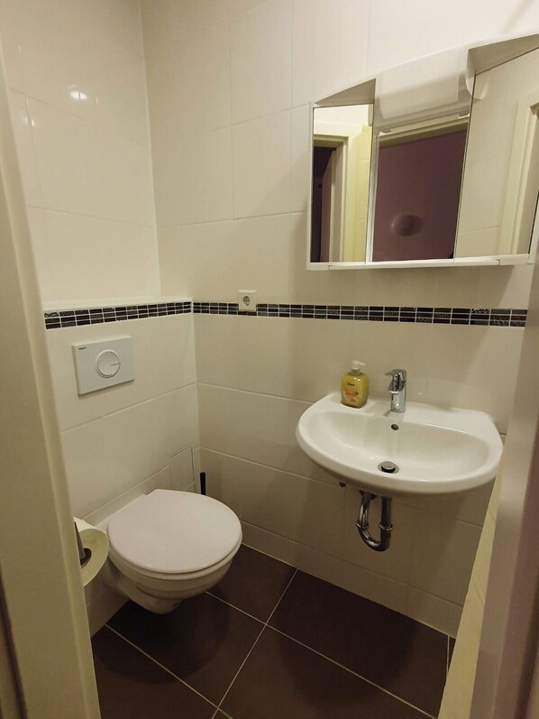 Egy kis fürdőszoba, amelyben WC, mosdókagyló és tükör található.