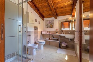 Shower, hair dryer, bidet, towels