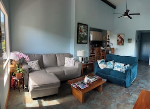 Smart TV - Misty Hills at Finca Katrina - a gorgeous apartment with amazing views (Boquete)